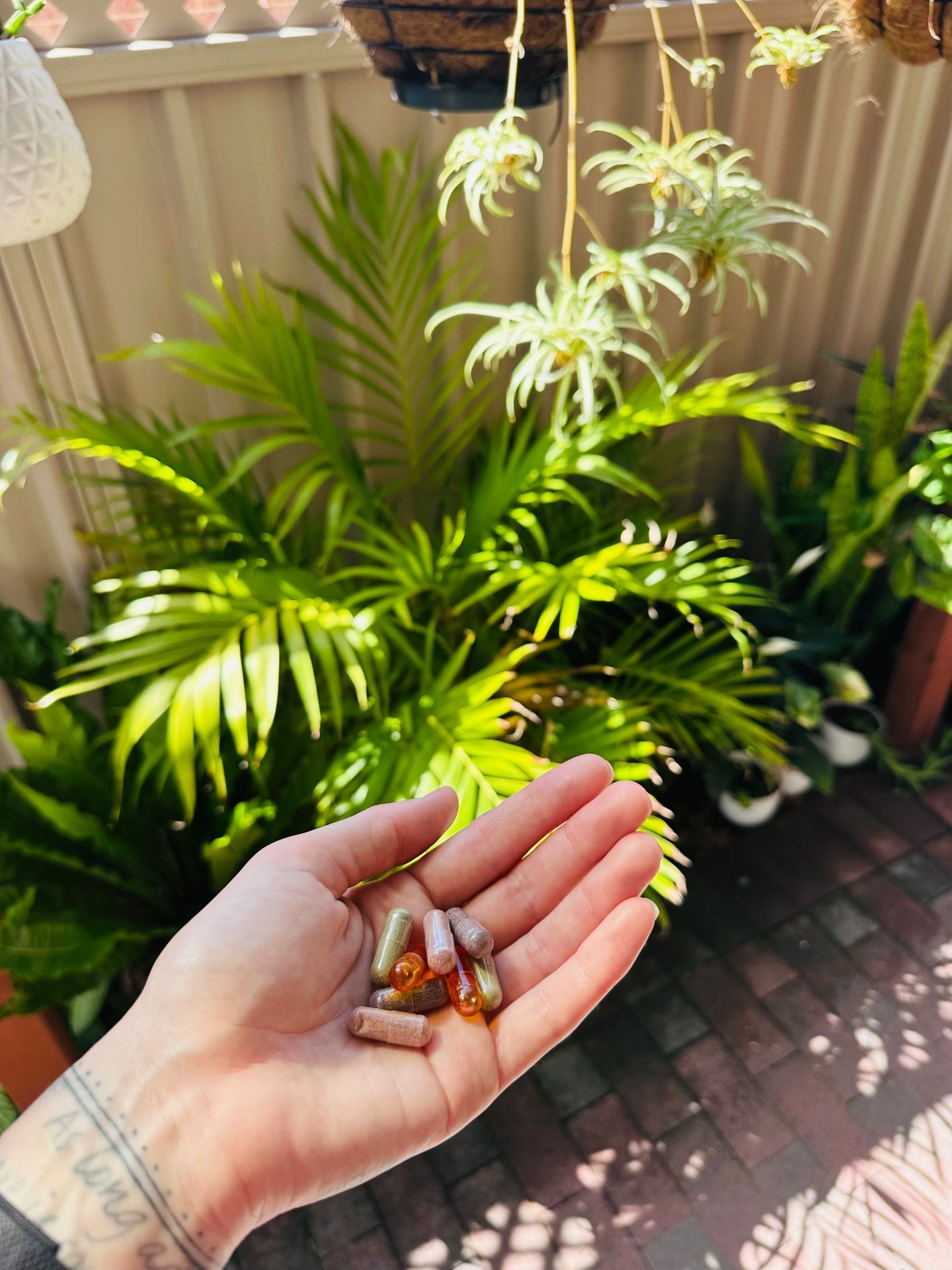 🧡 Juice Plus+ Whole Food Capsules